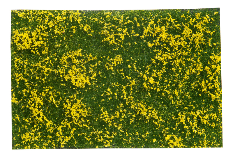 Bodendecker-Foliage Wiese gelb