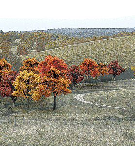 Fall Colors Deciduous Tree Pack